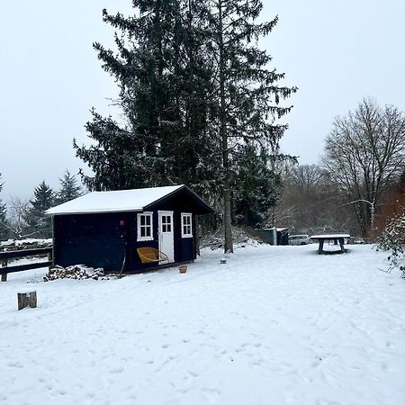 Wunderschoenes Chalet Mit Gaestehaus In Der Natur Mit Fass-Sauna Sangerhausen Dış mekan fotoğraf