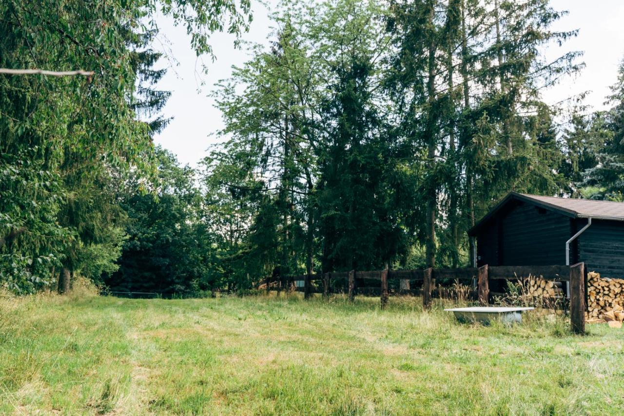 Wunderschoenes Chalet Mit Gaestehaus In Der Natur Mit Fass-Sauna Sangerhausen Dış mekan fotoğraf